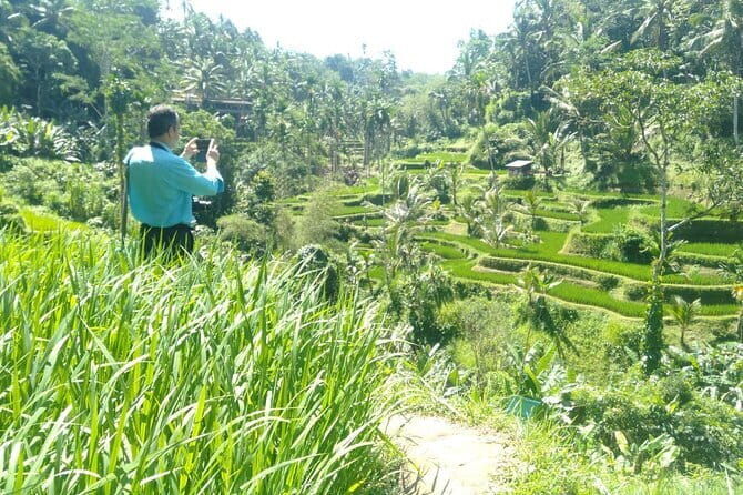 Best Of Ubud Waterfall Swing Private Guided Tour - Key Points