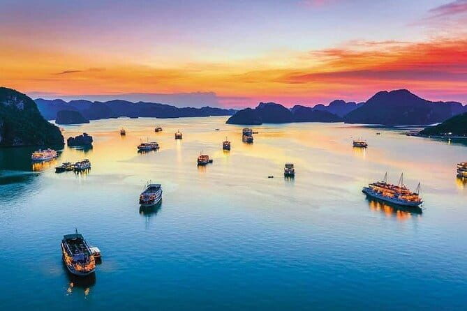 BEST SELLER - 2 Day 1 Night HALONG bay cruise with All-Inclusive - A Complete Look at the 2-Day Halong Bay Cruise