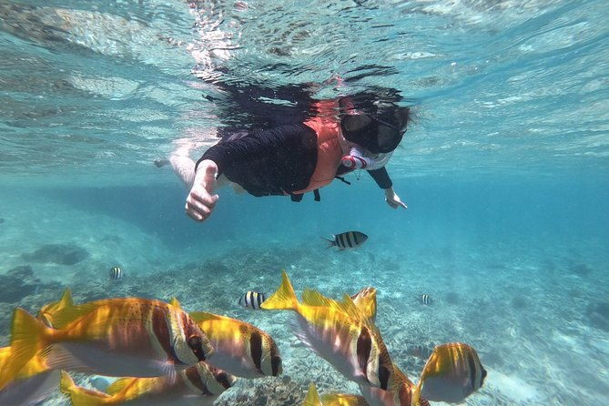 Beyond Angthong 42 Islands Premium Service Trip By Speedboat From Koh Samui - Key Points  