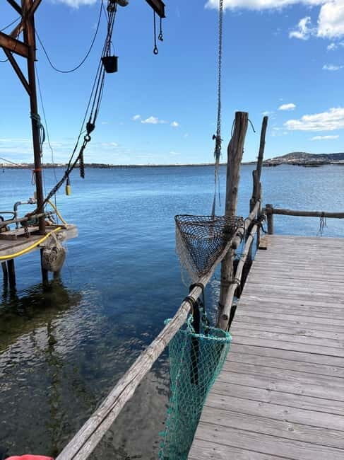 Béziers: Wine and Oyster Tasting Tour at Thau lagoon - Detailed Breakdown of the Tour