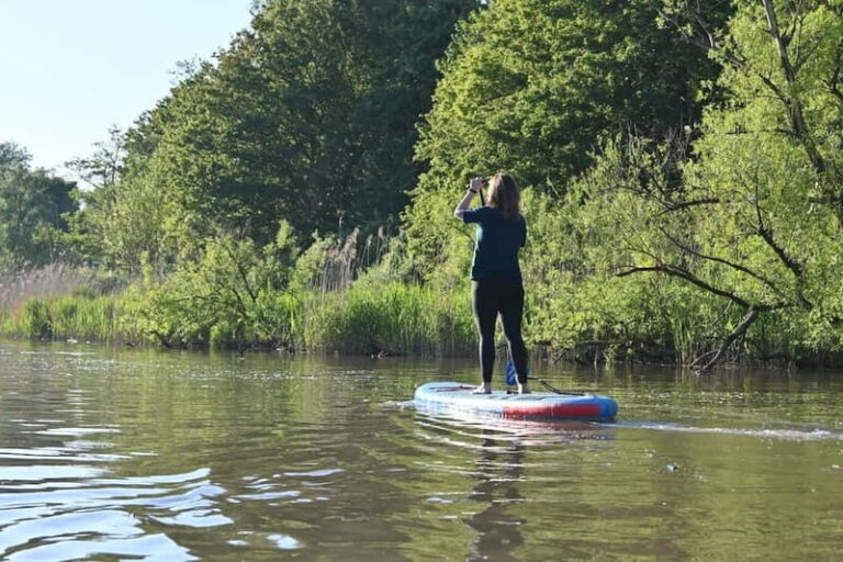 Biesbosch: SUP Board Rental - What You Can Expect from the SUP Adventure