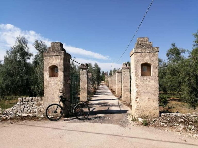 Bike tour in Trani + visit to olive grove and evo oil tasting - A Ride Through Tranis Rural Heartlands