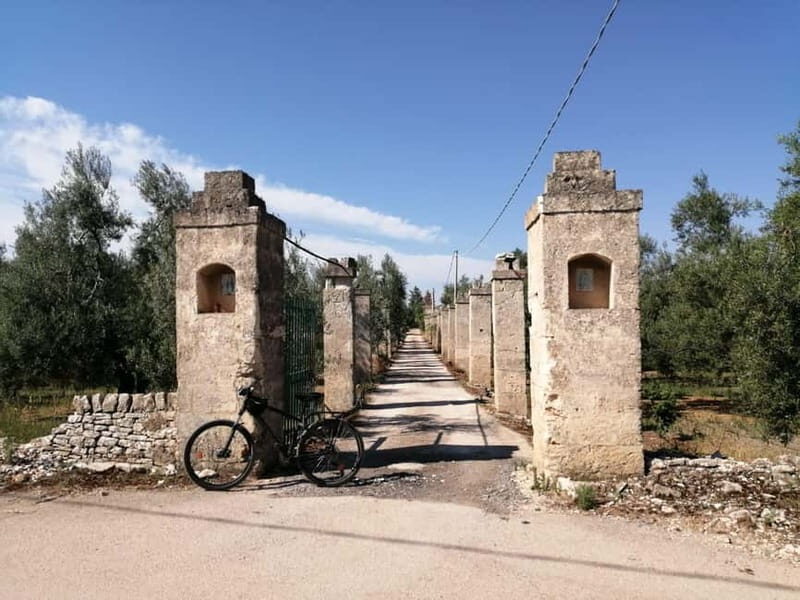Bike tour in Trani + visit to olive grove and evo oil tasting - A Ride Through Tranis Rural Heartlands