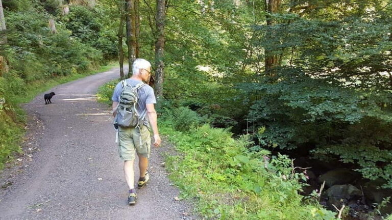 Black Forest: Ravenna Gorge Hike, Self-Guided - Practical Details and Logistics