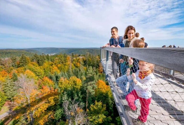 Black Forest: Treetop Walk & Lookout Tower Experience - Who Would Love This Experience?