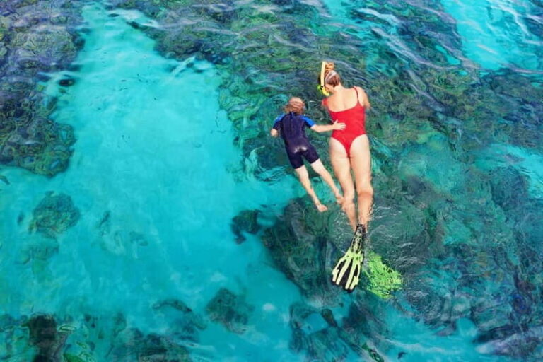 Boat trip along the south coast of Menorca: snorkeling and stand up paddle. - Practical Details & Value