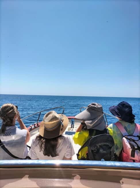 Boat trip from Castro to Malepasso - Practical Details and What It Means for You