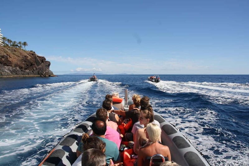 Boat Trip - Ponta de São Lourenço + Snorkeling - What to Bring and What to Expect