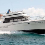 Boat trip to the Corsican archipelago - The Experience You Can Expect