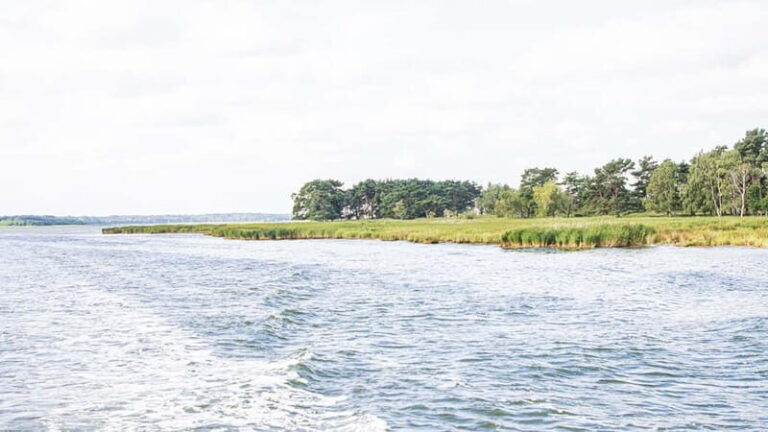 Boat trip to the Hanseatic city of Stralsund from Zingst - The Sum Up: Who Should Consider This Trip?