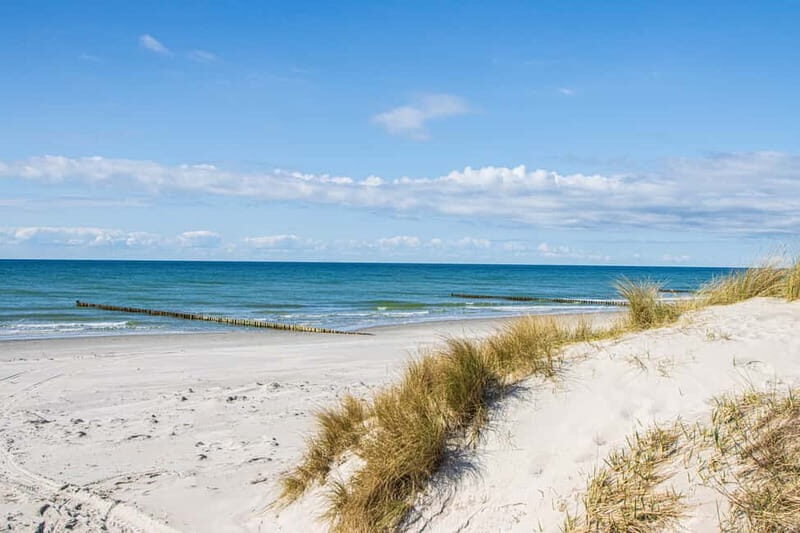 Boat trip to the Island of Hiddensee from Zingst - The Itinerary in Detail