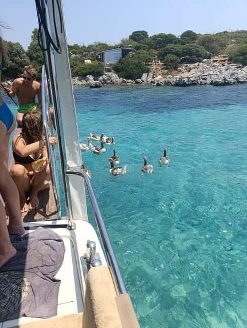 Bodrum boat trip starting from Gümbet beach - Authentic Experiences and Traveler Insights