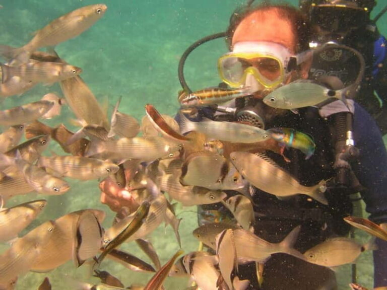 Bodrum diving day for advanced and beginner divers - The Sum Up