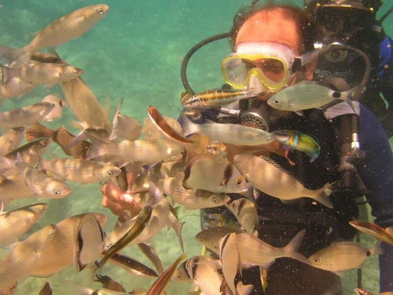Bodrum diving day for advanced and beginner divers - The Sum Up