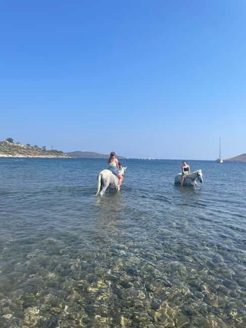 Bodrum Horse Riding Adventure - Detailed Breakdown of the Itinerary