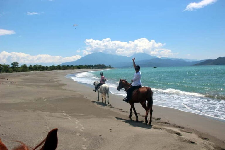 Bodrum: Horseback Riding Experience with Hotel Transfer - Why This Tour Offers Great Value