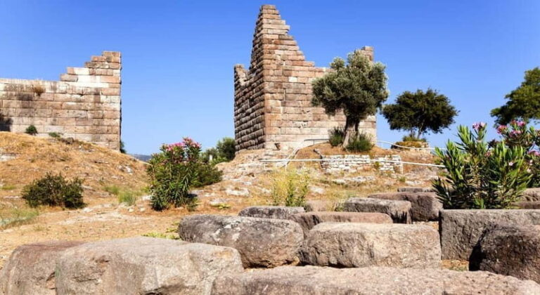 Bodrum: Private Tour by VIP Van with Local Guide&Hidden Gems - The Itinerary Breakdown