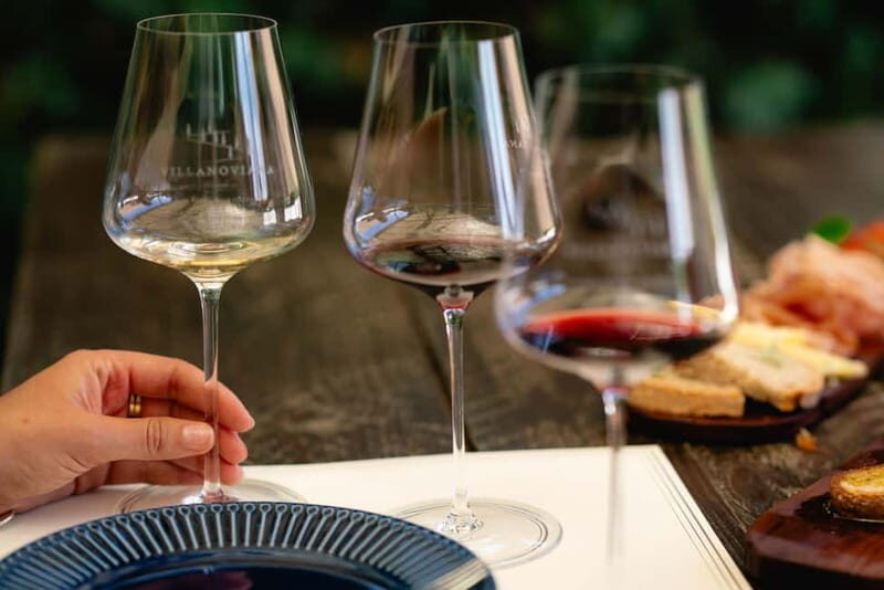 Bolgheri: Tour with wine tasting at Villanoviana - The Itinerary: A Closer Look at What You Can Expect
