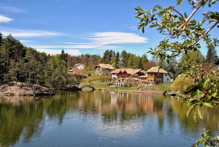 Bolzano private guided city tour - Practical Details and Value