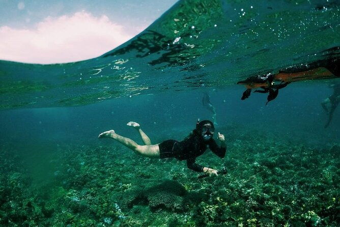 Boracay Snorkeling & Island Hopping tour - What Travelers Love About This Tour