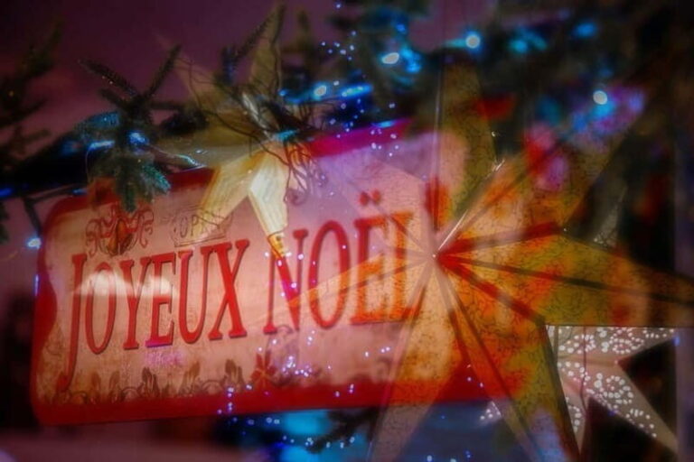 Bordeaux Christmas Market Tour - What to Expect at the Market