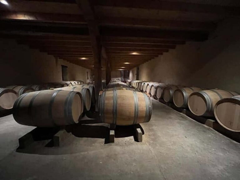 Bordeaux: Graves, Pessac-Léognan, and Sauternes Vineyards - The Châteaux Experience