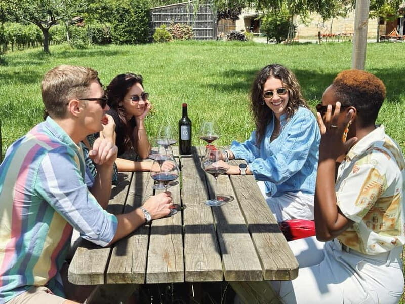 Bordeaux: Half-Day Private Natural Wine Tour & Tasting - Who Is This Tour Best For?