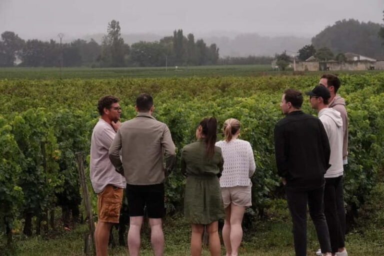 Bordeaux: St. Emilion Wine and E-Bike Tour with Lunch - Exploring the Itinerary and Experiences