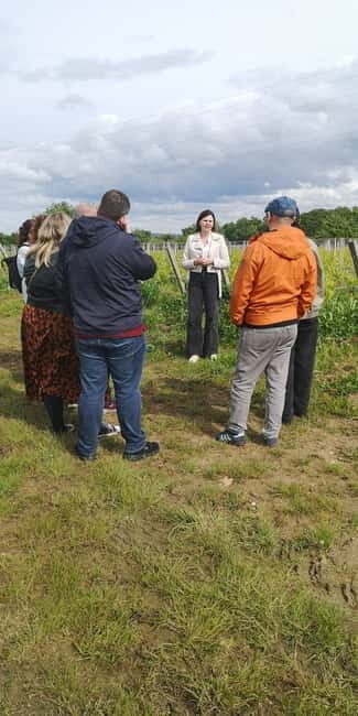 Bordeaux wine tour: 2 wineries & wine tastings (red & white) - What’s Included and What’s Not