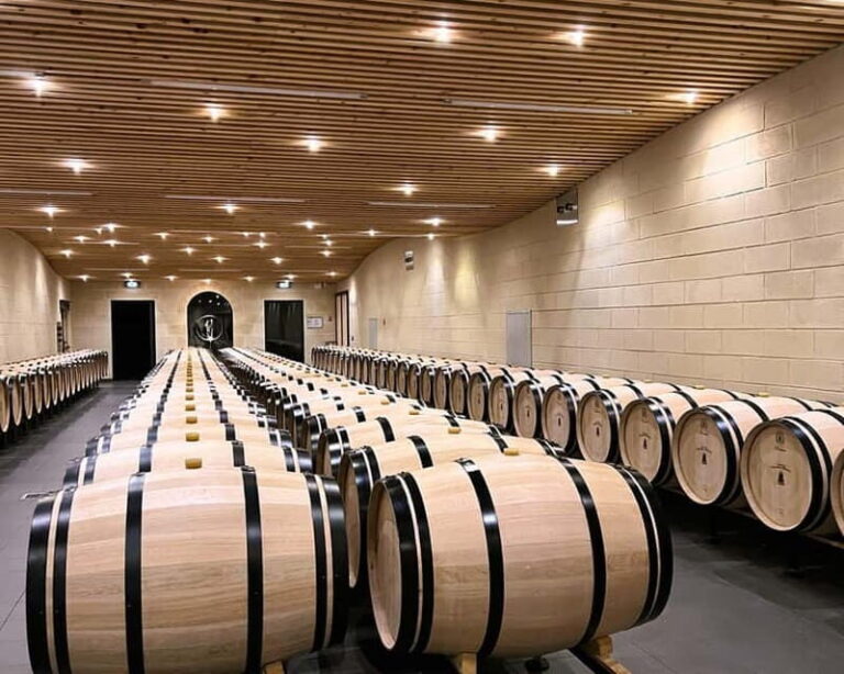 Bordeaux: Wine Tour with blending workshop full day - An In-Depth Look at the Bordeaux Wine & Saint-Emilion Experience