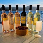 Bormes-les-Mimosas: Aperitif Tasting Cruise at Sea on an electric boat - What to Expect Onboard