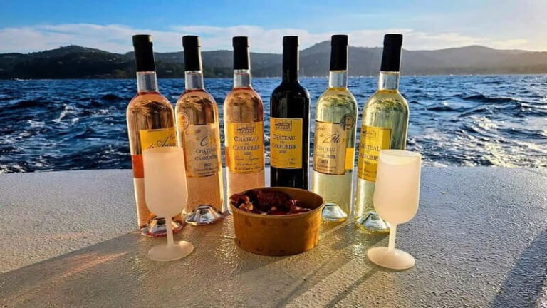 Bormes-les-Mimosas: Aperitif Tasting Cruise at Sea on an electric boat - What to Expect Onboard