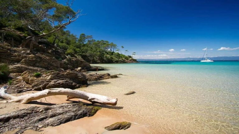 Bormes-les-Mimosas: Hybrid boat trip to Porquerolles Island - An In-Depth Look at the Hybrid Boat Trip to Porquerolles