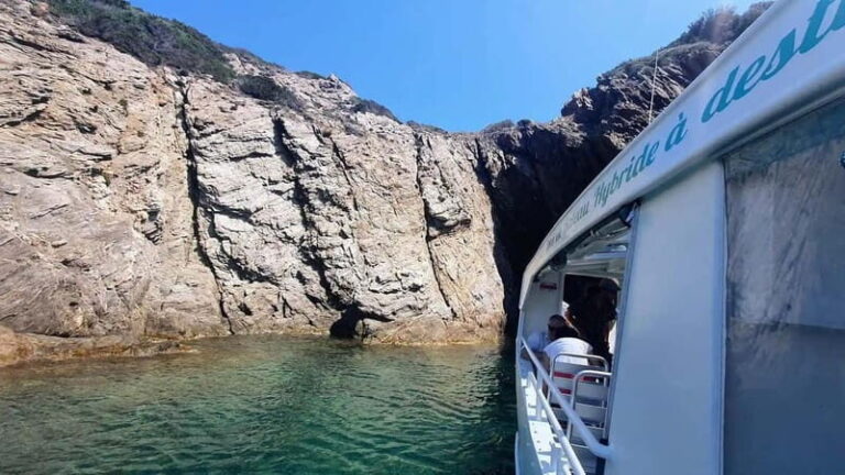 Bormes-les-Mimosas: Sea trip in the heart of Port-Cros National Park - What to Expect During the Tour