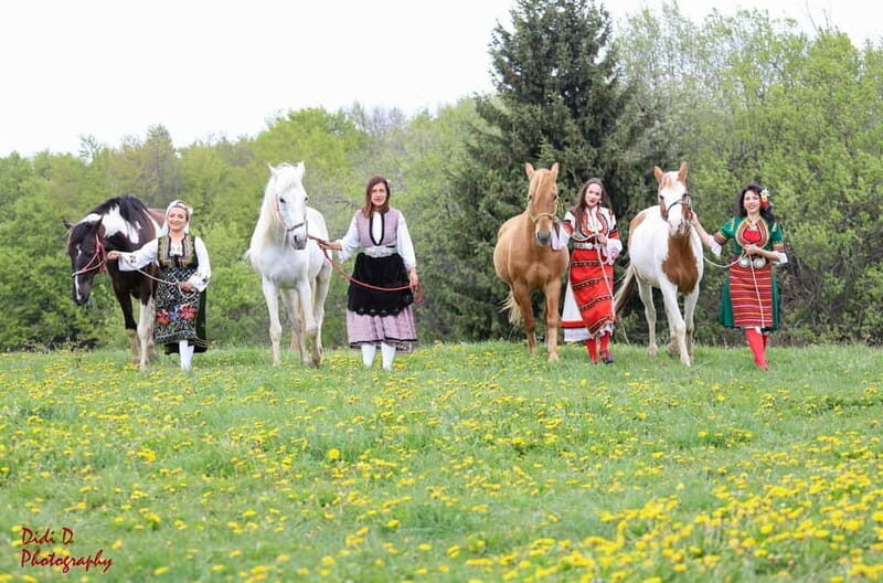 Borovets: Horse Riding Experience - An Overview of the Horse Riding Experience in Borovets