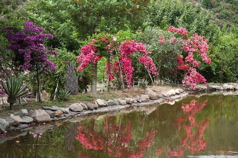 Botanical Garden & Aromas of the Wild Nature Adventures - What Makes This Tour Stand Out?