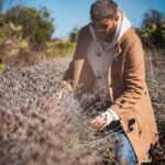 Botanical workshop & Nepeta's bitters tasting in Val di Noto - Deep Dive into the Itinerary