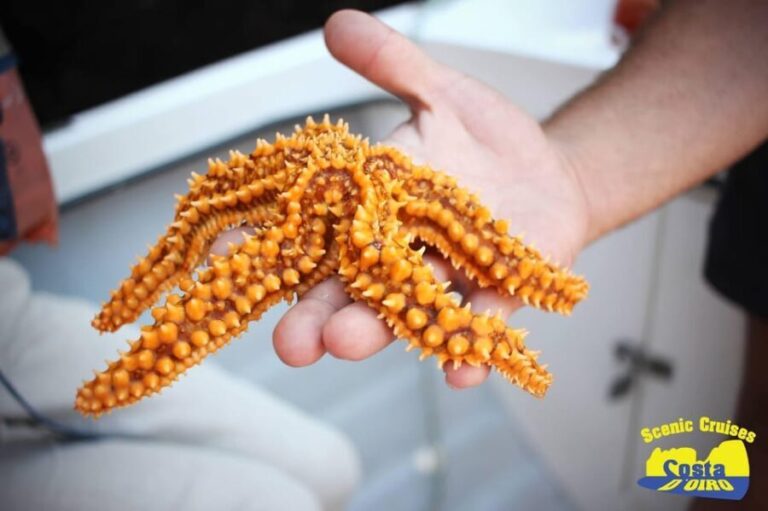 Bottom Fishing Lagos - Practical Tips for Your Trip