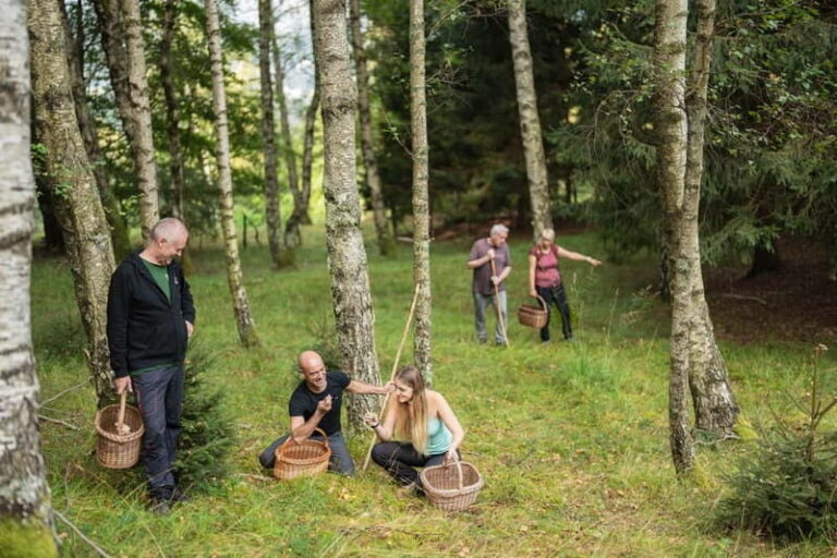 Bovec: Mushroom Picking and Culinary Session - Practical Details and What to Expect