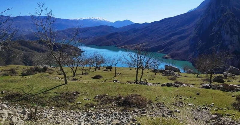 Bovilla Lake, Hiking and Swimming, Private Tour with SUVs - Relaxing in Bovilla Lake