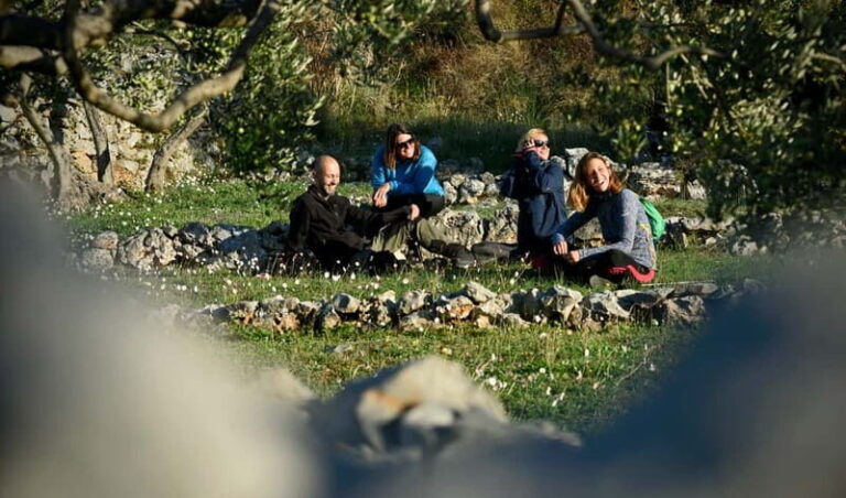 Bra island: Hiking Vidova gora krip Museum of olive oil - The Journey Through Bra Island’s Natural and Cultural Sights
