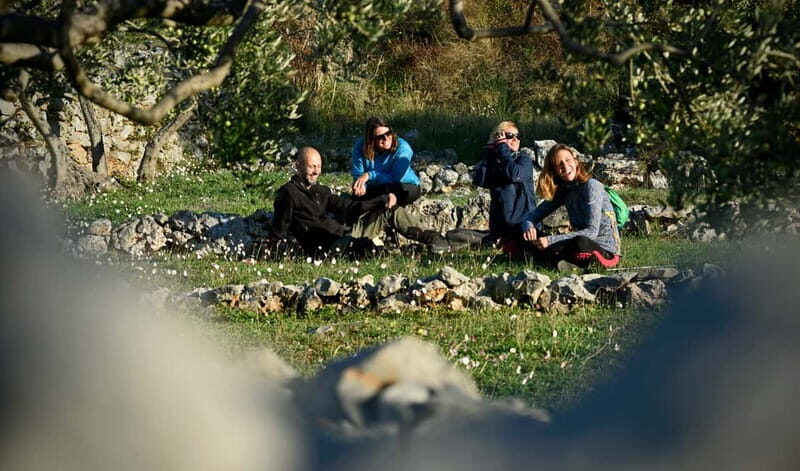 Bra island: Hiking Vidova gora krip Museum of olive oil - The Journey Through Bra Island’s Natural and Cultural Sights