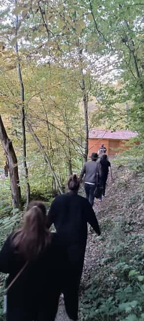 Braov: 4-Hour Bear Watching Tour in Carpathian Mountains - Pricing and Value