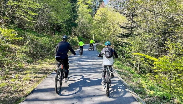Brasov: eBike Tour to Poiana Brasov (Old Town & Forest) - What to Expect from the Itinerary