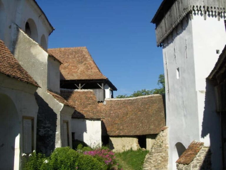 Brasov: Saxon Fortified Churches Day Tour with Guide - What to Expect on the Tour