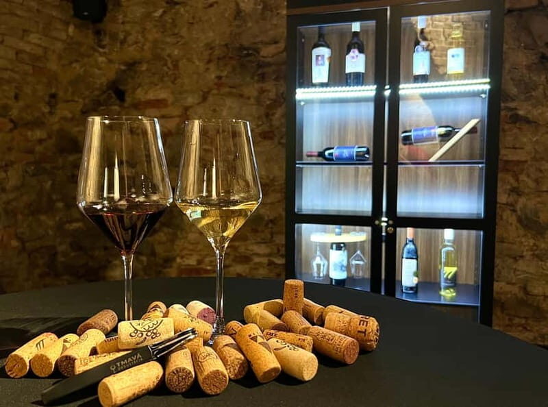 Bratislava: Wine Tasting Experience in the Dark - Why This Tour Might Be Perfect for You