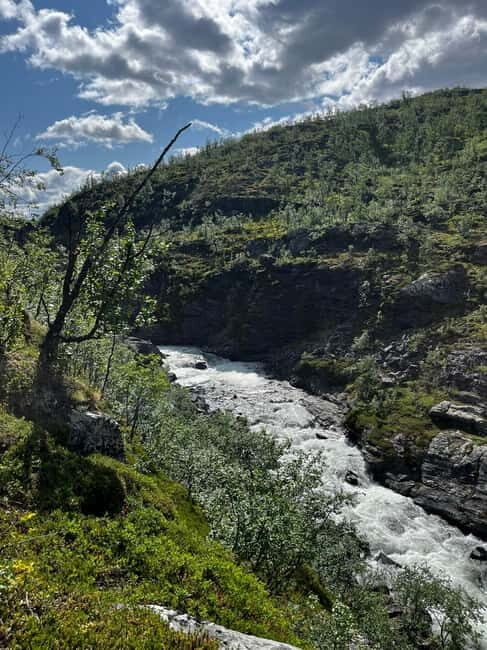 BRENNFJELL: Brennfjellet Hiking Adventure - Who Is This Tour Best For?