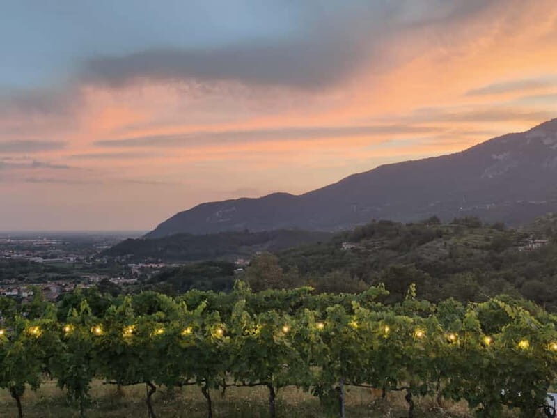 Brescia: Day trip to Botticino, new historical winetasting - What to Expect on the Tour