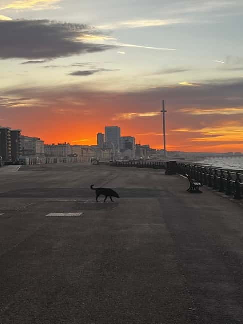 Brighton Beach: Sunrise Hatha Yoga Class with Ocean Views - An Overview of the Experience