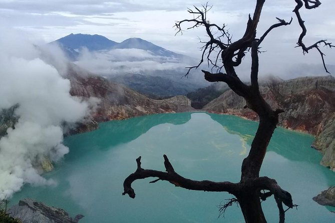 Bromo Ijen Tour From Bali - Discovering Java’s Volcanic Wonders: The Bromo Ijen Tour From Bali